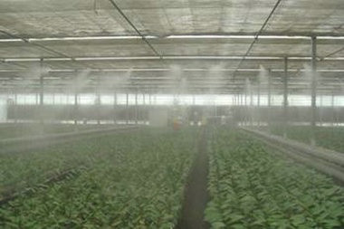 現(xiàn)代農(nóng)業(yè)種植對(duì)于工業(yè)加濕器的使用